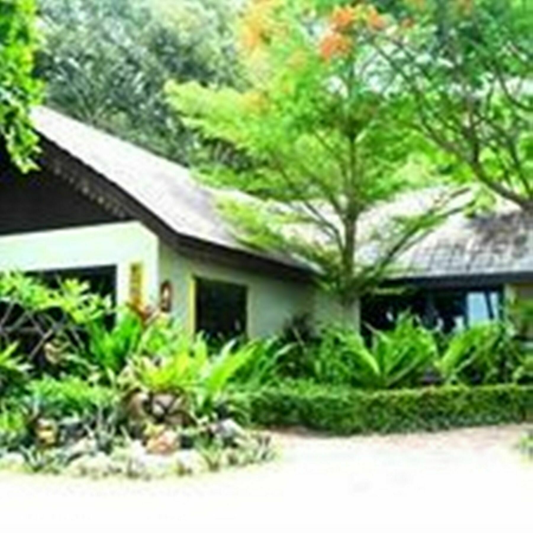 Paradise Pearl Bungalows Koh Phi Phi Ngoại thất bức ảnh